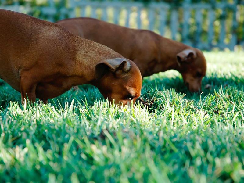 sudoku futoshiki screenshot 3