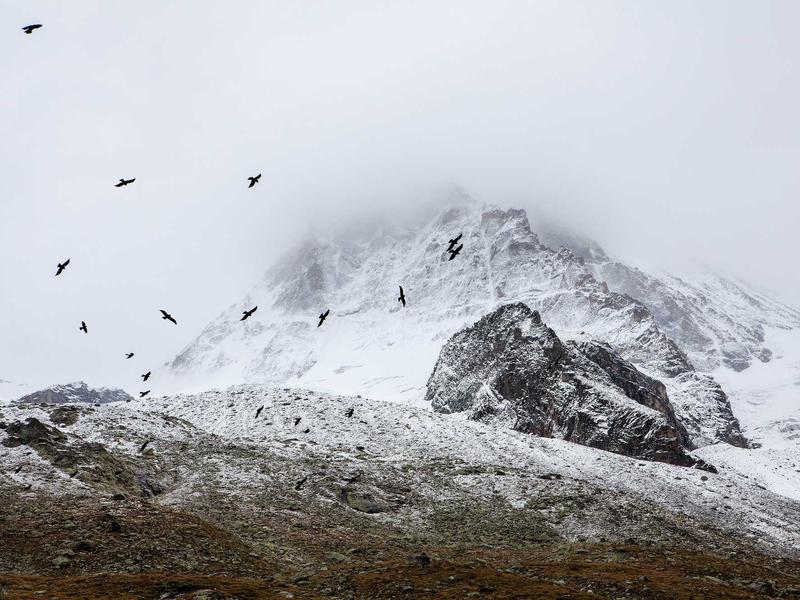 sudoku futoshiki screenshot 4